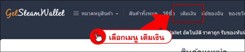 การเติมเงินด้วย TrueMoney Wallet (เพย์โซลูชั่น)